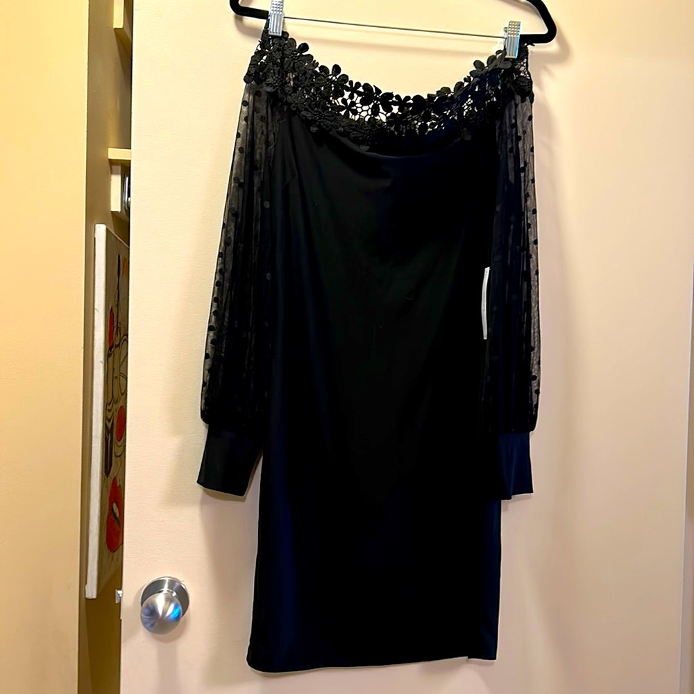 Never worn! Off the shoulder lacy and netted.